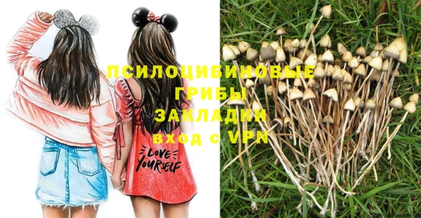 Альфа ПВП Арсеньев