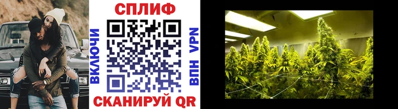 Конопля Ganja Орёл